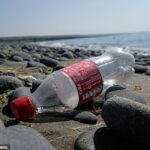 El estudio, dirigido por un equipo de la Universidad de Loughborough, encontró que casi dos tercios (63 por ciento) de la basura se compone de plástico.  Mientras tanto, se descartan productos de Coca-Cola, McDonald's y Budweiser y los artículos de marca más comunes, según el informe.