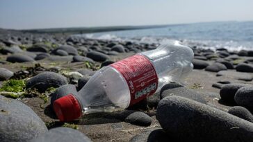 El estudio, dirigido por un equipo de la Universidad de Loughborough, encontró que casi dos tercios (63 por ciento) de la basura se compone de plástico.  Mientras tanto, se descartan productos de Coca-Cola, McDonald's y Budweiser y los artículos de marca más comunes, según el informe.