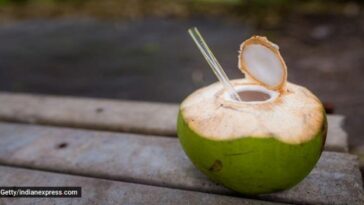 ¿Beber demasiada agua de coco no es saludable para ti?  Esto es lo que dicen los expertos