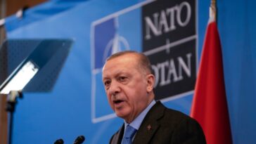¿Por qué Turquía se opone a la adhesión de Finlandia y Suecia a la OTAN?