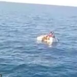 Cuatro marineros de un carguero desaparecido han sido rescatados después de aferrarse a neveras de espuma de poliestireno y flotar en el mar durante cuatro días.