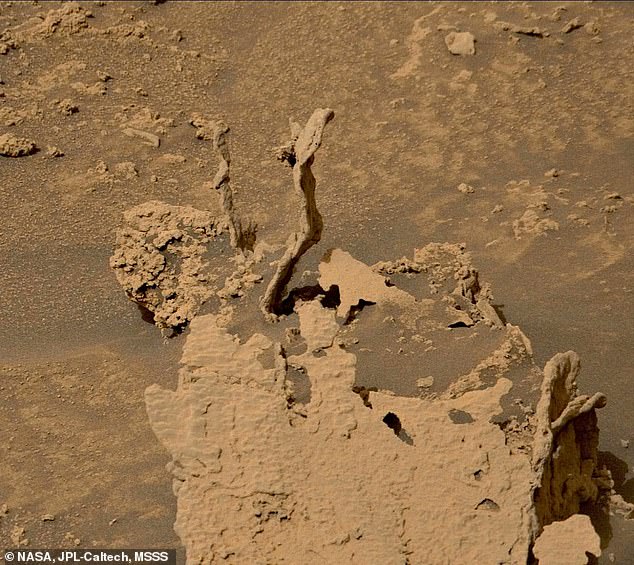 El rover Curiosity de la NASA tomó esta fotografía de dos torres de roca marcianas el 17 de mayo. Se cree que son 'hoodoos', creadas a partir de sustancias parecidas al cemento que una vez llenaron antiguas grietas en el lecho rocoso.  Esta roca dura permaneció una vez que la roca circundante más blanda se erosionó.