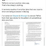 Brendan Carr, comisionado de la FCC, publicó en Twitter instando a los gigantes tecnológicos a eliminar la plataforma para compartir videos