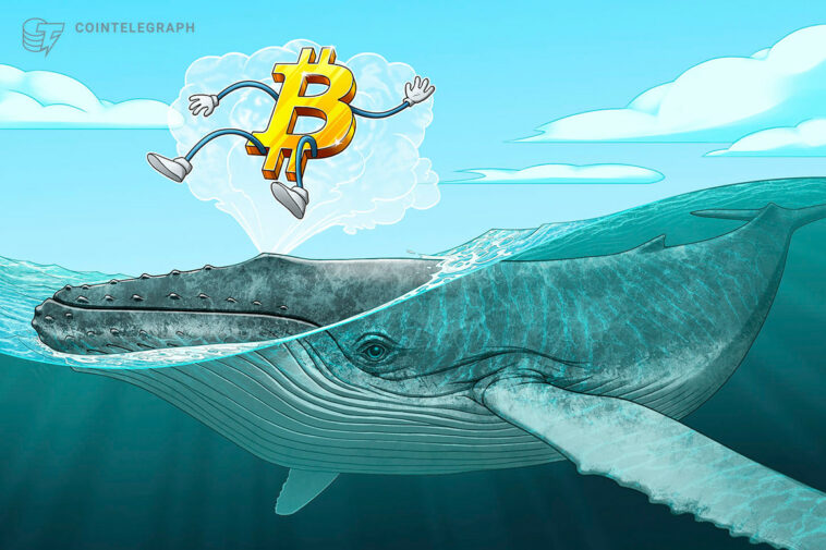 El precio de BTC supera los máximos de 10 días a medida que la demanda de ballenas de Bitcoin ve un