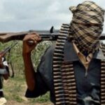 Ex-yihadistas completan curso de desradicalización en Níger |  The Guardian Nigeria Noticias