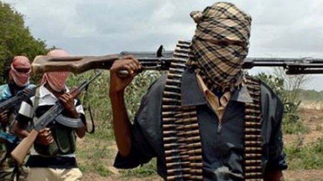 Ex-yihadistas completan curso de desradicalización en Níger |  The Guardian Nigeria Noticias