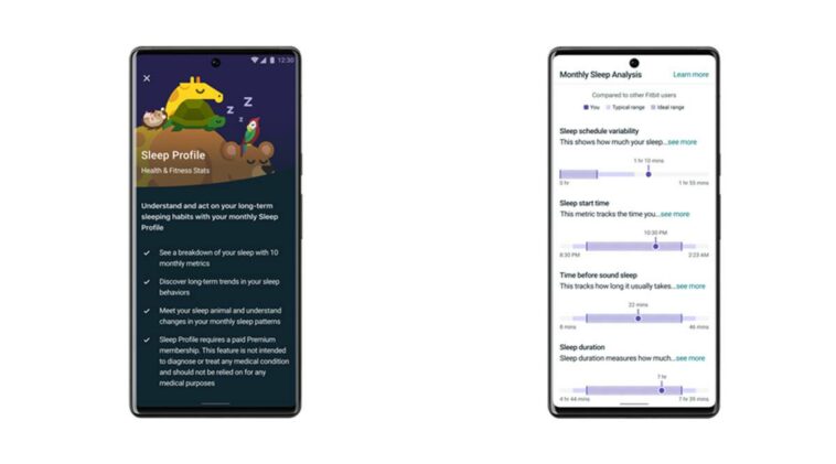 Fitbit anuncia la nueva función Sleep Profile con 'Sleep Animals': todo lo que necesitas saber