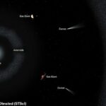 Este diagrama ilustrado representa el sistema planetario G238-44.  La pequeña estrella enana blanca está en el centro.  Un débil disco de acreción está formado por los fragmentos de cuerpos destrozados que caen sobre la enana blanca.  Los otros asteroides y cuerpos planetarios comprenden un reservorio de material que rodea a la estrella.