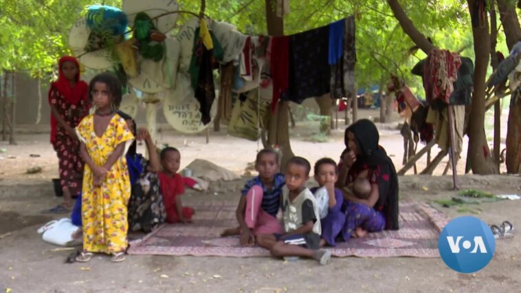 Las personas desplazadas en apuros de Etiopía se enfrentan al dilema: ¿quedarse o irse a casa?