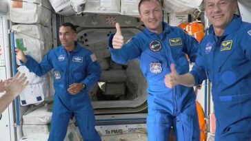 El impacto de la gravedad cero en los huesos de un astronauta puede ser 'profundo' según el estudio.  En la foto de arriba está el astronauta Tom Marshburn después de colocar la insignia oficial de astronauta de la NASA en el astronauta de la ESA (Agencia Espacial Europea) Matthias Maurer después de que el Crew-3 Crew Dragon 'Endurance' se acoplara con éxito a la Estación Espacial Internacional.
