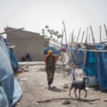 Los desplazados internos en apuros de Etiopía enfrentan un dilema: ¿quedarse o regresar a casa?