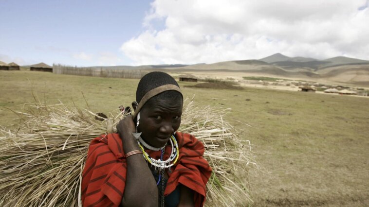 Maasai en Tanzania se mudan a nuevos hogares en medio de intentos de desalojo