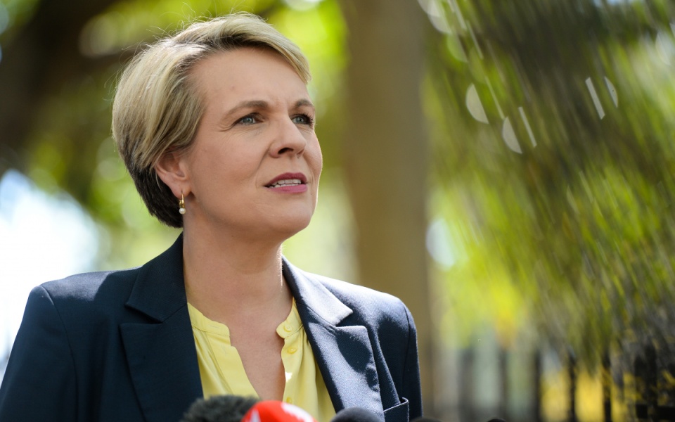 Nueva salpicadura de efectivo en carbono azul: Ministro de Medio Ambiente Plibersek
