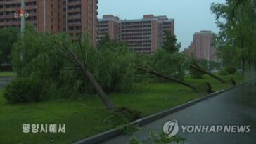 Pyongyang golpeado por fuertes lluvias y fuertes vientos