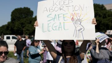 Qué significa el fallo de la Corte Suprema sobre el aborto para la salud y el bienestar de las mujeres: 4 lecturas esenciales