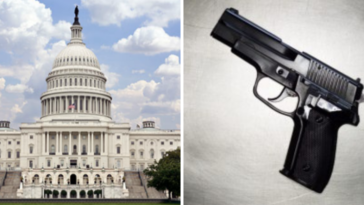 Senado aprueba proyecto de ley bipartidista sobre violencia con armas de fuego, se anticipa aprobación de la Cámara a continuación |  La crónica de Michigan