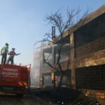 Turquía: los comentarios sobre incendios forestales de Erdogan despiertan preocupación por la reactivación de la pena de muerte