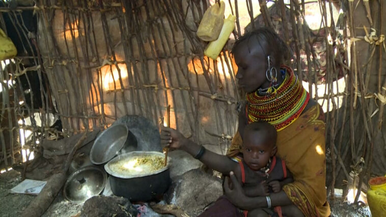 'A la espera de morir': los kenianos que sobreviven a base de bayas en el norte afectado por la sequía