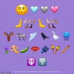 Emojipedia ha revelado oficialmente los candidatos preliminares para el próximo lanzamiento de emoji, Emoji 15.0, que se confirmarán oficialmente en septiembre.