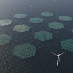 Merganser, el primer 'parque solar flotante', se instalará en aguas de Ostende, Bélgica, y tendrá una capacidad máxima de 0,5 megavatios.