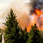 Bomberos de EE. UU. comienzan a frenar enorme incendio forestal en California