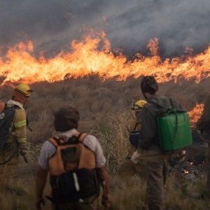Brasil: Junio ​​registra 15 años de récord de incendios en la Amazonía