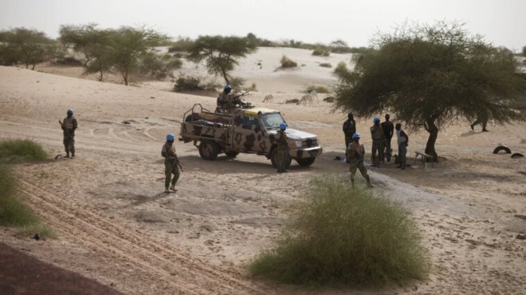 Dos cascos azules de la ONU asesinados en Mali, varios heridos