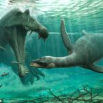 Los plesiosaurios (derecha) y el espinosaurio (izquierda) pueden haber habitado ríos de agua dulce hace 100 millones de años.
