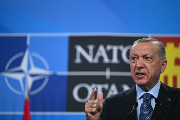 Erdogan dice que Turquía todavía puede bloquear las ofertas de la OTAN de Suecia y Finlandia
