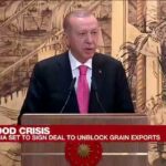 Erdogan promete buenas noticias sobre las exportaciones de granos después de firmar un acuerdo entre Ucrania y Rusia con la ONU