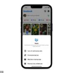 La red social está implementando una nueva pestaña llamada 'Feeds' para sus aplicaciones de iOS y Android, que muestra las publicaciones más recientes de amigos, grupos y páginas.