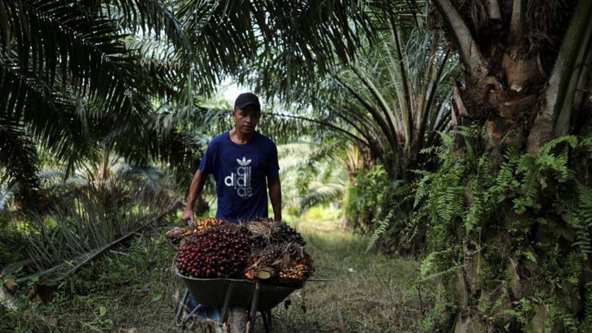 Indonesia congela temporalmente el envío de trabajadores migrantes a Malasia
