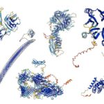 La IA predice la forma de casi todas las proteínas conocidas por la ciencia