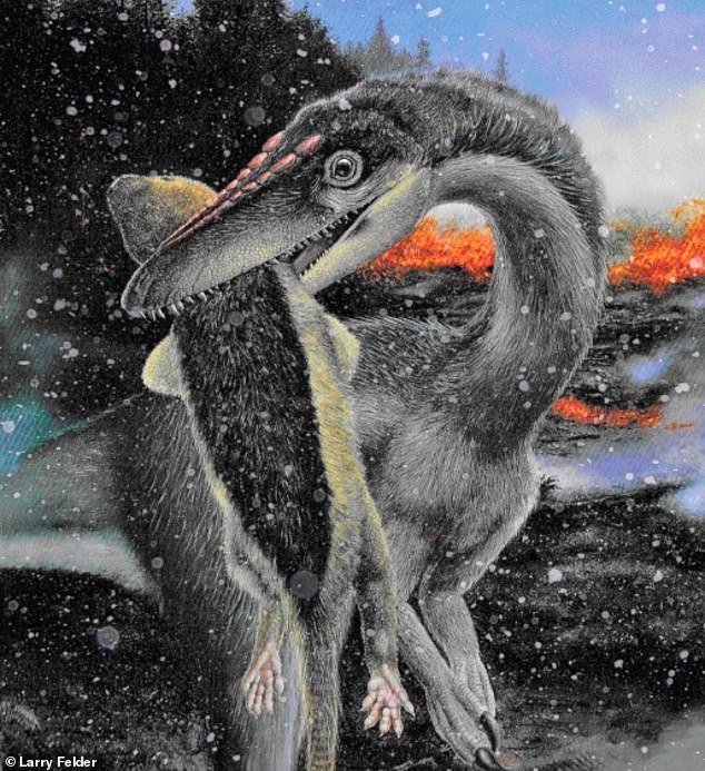 Con un flujo de lava en la distancia, se representa a un dinosaurio terópodo con plumas primitivas llevándose a una víctima de mamífero durante un invierno volcánico nevado causado por erupciones masivas durante la Extinción del Triásico-Jurásico.  Un nuevo estudio dice que los dinosaurios sobrevivieron porque ya estaban adaptados a las condiciones de congelación en latitudes altas