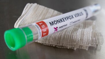 Los casos de viruela del mono se triplican en Europa, dice la OMS;  África preocupada