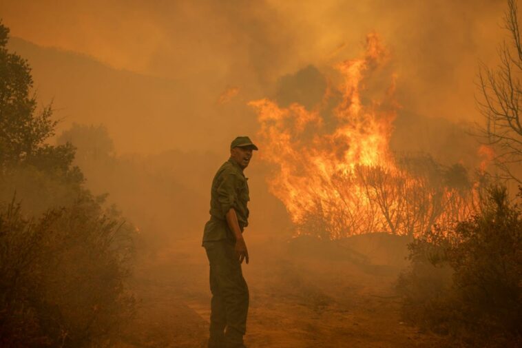 Un soldado marroquí reacciona junto a un incendio forestal cerca de Ksar el-Kebir en la región de Larache, el 15 de julio de 2022. (AFP)