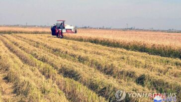 Más del 40 % de los norcoreanos están desnutridos: informe de la ONU