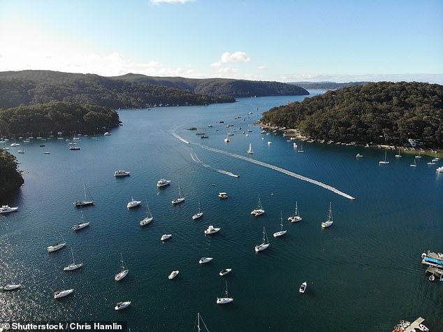 Una mujer murió después de que dos pequeñas embarcaciones chocaron en Pittwater mientras que un hombre sufrió graves heridas en la cabeza.