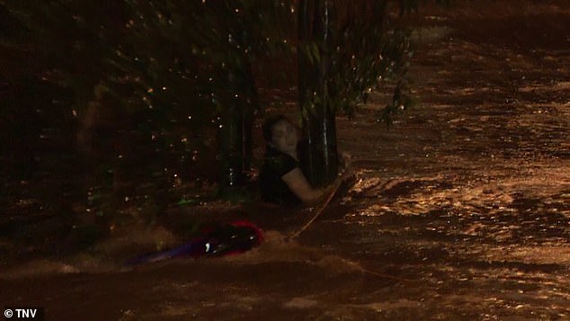 La mujer aterrorizada se aferró a un árbol mientras las aguas de la inundación la azotaban en el suroeste de Sydney.
