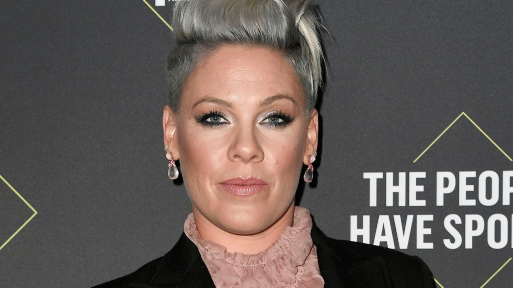 Pink lanza el sencillo de protesta “Irrelevant” y las ganancias se destinarán a When We All Vote