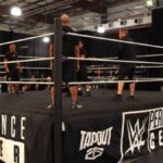 Primeros nombres confirmados para las pruebas de WWE durante la semana de SummerSlam