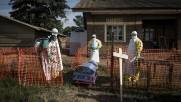 RD Congo declara el fin del último brote de ébola |  The Guardian Nigeria Noticias