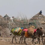 Se observa una creciente crisis de salud en el Cuerno de África a medida que se propaga el hambre aguda