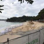 La popular Shark Beach de Sydney estará cerrada durante el verano mientras se realizan obras en su malecón