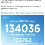 BYD experimentó un aumento del 315 % en las ventas con respecto al año pasado: vendió 640 000 vehículos eléctricos, mientras que Tesla entregó 564 000.