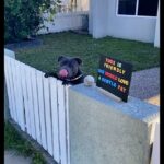 Los dueños de Tubs (en la foto), el Staffordshire Bull Terrier, decidieron colocar un letrero en el frente de su casa en el norte de Queensland, para que los lugareños sepan que es amigable y ama las caricias.