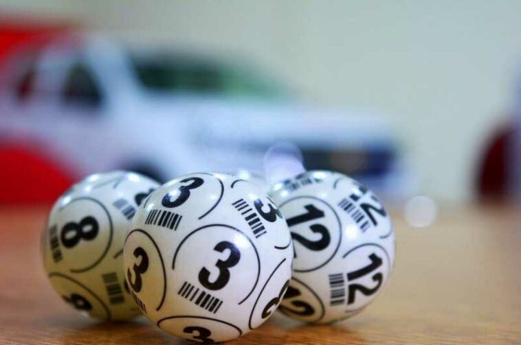 Motivos para jugar al bingo si tienes menos de 35 años