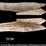 Los científicos han descubierto colgantes de la Edad de Piedra hechos de huesos humanos en Rusia, lo que indica que las personas que vivían allí en ese momento podrían haber sido caníbales.