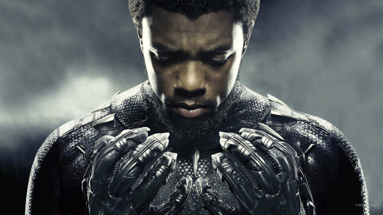 ¿Quién será el nuevo Black Panther en Wakanda para siempre?
