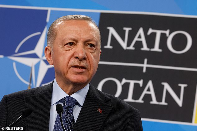 El presidente turco, Recep Tayyip Erdogan (en la foto durante una cumbre de la OTAN en España en junio) amenazó con bloquear a Suecia y Finlandia como miembros de la OTAN a menos que cumplan con varias demandas, incluida la extradición de personas que Ankara considera